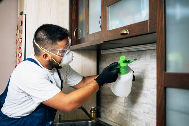 Best Bed Bug Extermination  in Carlsbad, NM