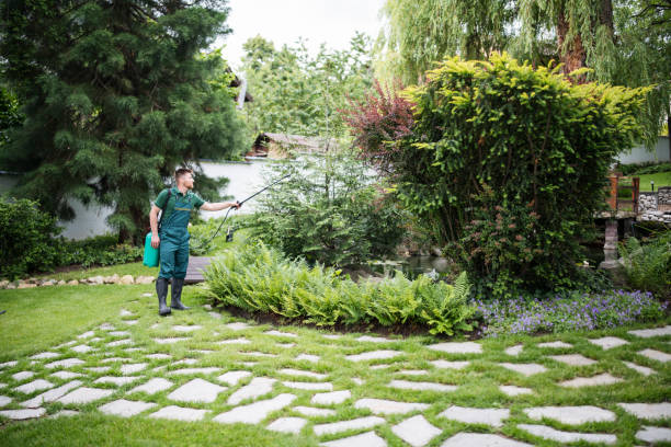 Best Residential Pest Control  in Carlsbad, NM