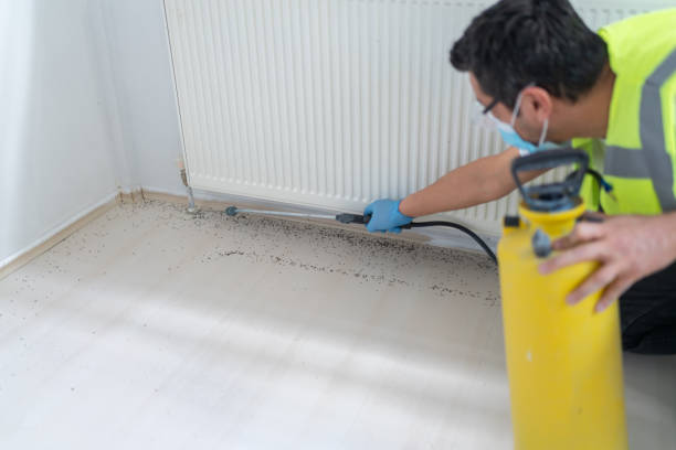 Best Commercial Pest Control Services  in Carlsbad, NM